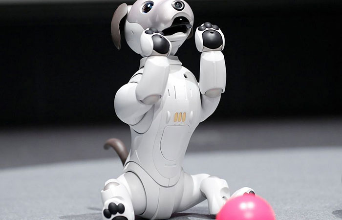 собака робот sony | apptoday.ru